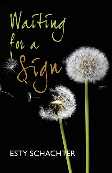 Waiting for a Sign, by Esty Schachter (Lewis Court Press, 2014)